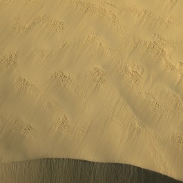 Sand dune, Nambung NP, WA (Edition of 7)
